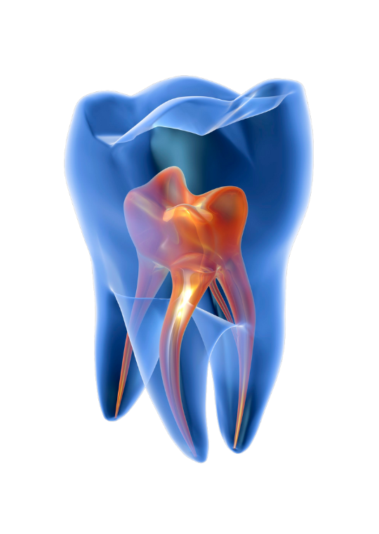 Clínica Dental Equipo de la Torre - Salud Bucodental 3D